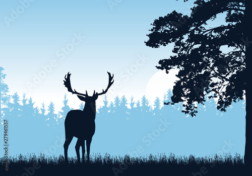 Realistic illustration of standing deer, grass and high tree. Forest under blue sky. With space for text - vector