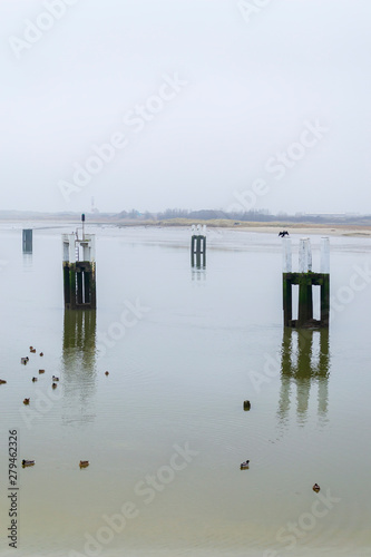 Brume hivernale sur le fleuve Yser à Nieuport. Belgique, Mer du Nord photo