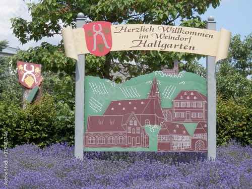 Rheingau, Ortsschild, Hallgarten, 65375 PLZ, Ortseingang, Lavendel, Pflanzen, Baum, grüne Blätter photo