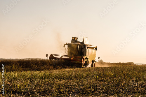 harvest fields summer poland © Tomasz