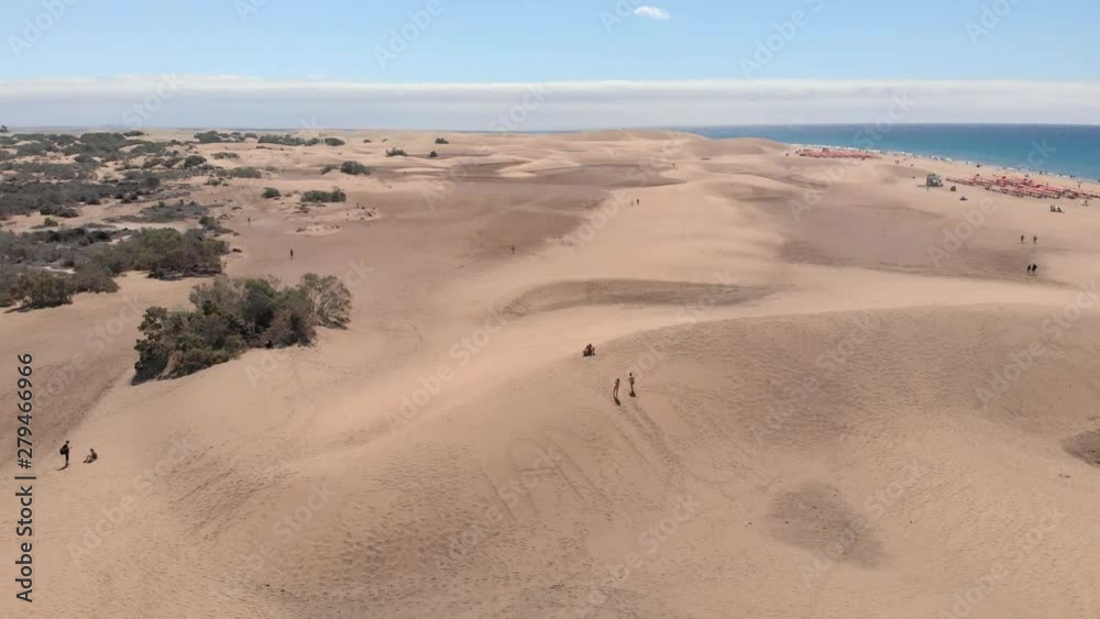 Several environments in one place: beach, vegetation, water and desert. Maspalomas, Gran Canaria, has it all. Several environments in one place: beach, vegetation, water and desert. Maspalomas, Gran Canaria, has it all.