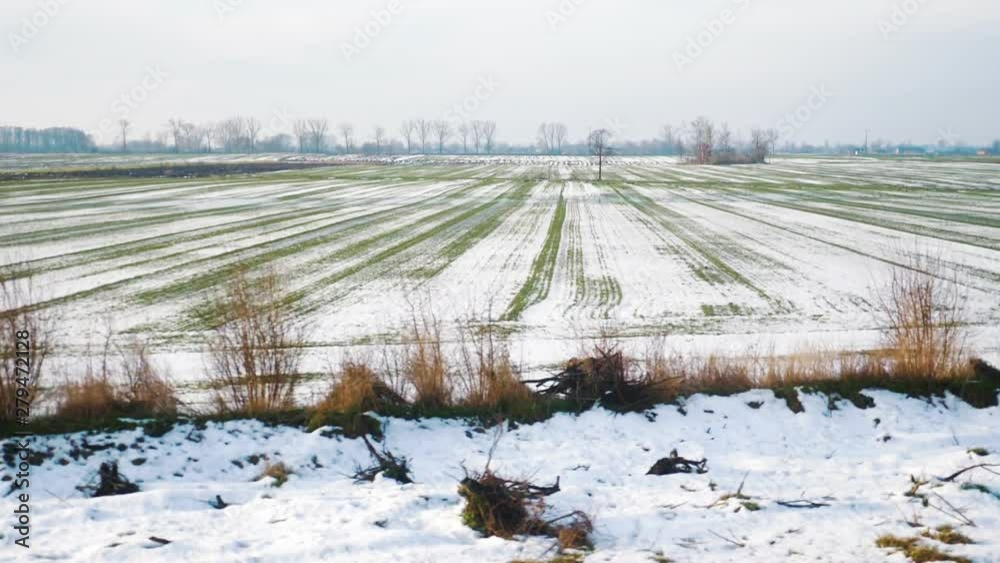 Train view through the window on the fields in winter in slow motion 180fps Train view through the window on the fields in winter in slow motion 180fps