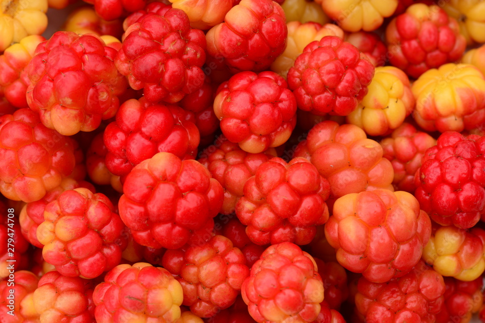 cloudberry berry fruit healthy food from the forest swamp