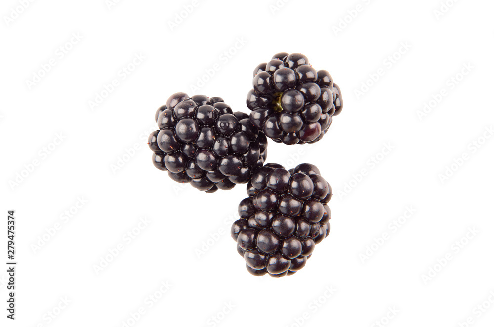 Three blackberries berries isolated on white background. The view from the top. Three blackberries berries isolated on white background. The view from the top.
