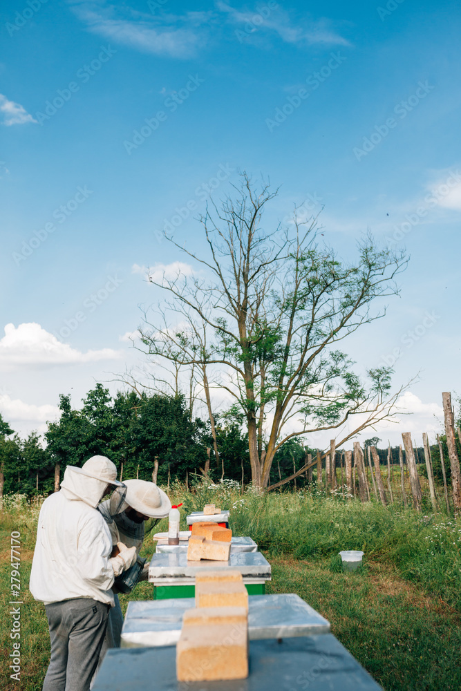 Look at a apiary and two apiarist working with bees in the nature