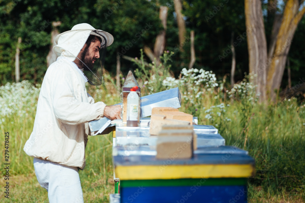 Beekeeper working in his apiary Beekeeper working in his apiary