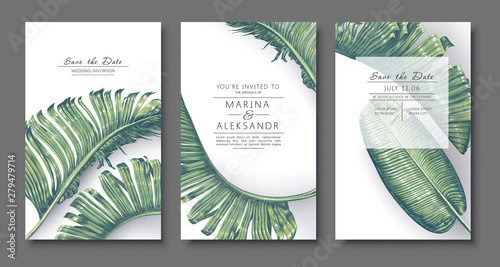 Tropical, trendy, greeting or invitation card, template design with green palm leaves. Banana leaves in realistic style with high details. Set of poster, flyer brochure, cover, party advertisement.
