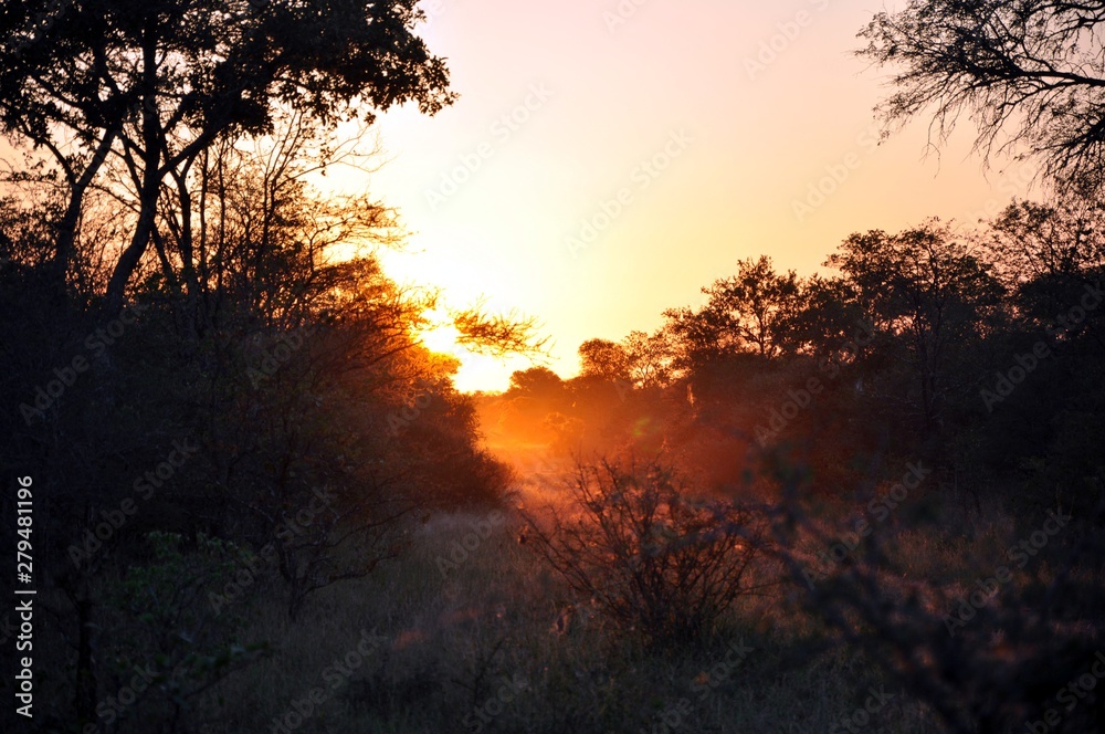 savanna sunrise in zimbabwe