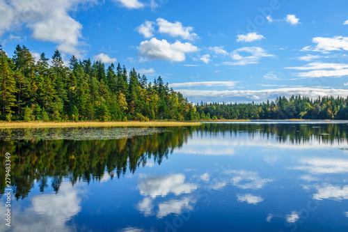 Beautiful Forest lake with reflections in the water in late summer