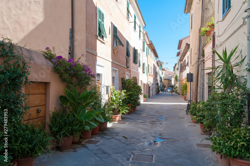 Street lined with plants in flowerpots in small Italian town of Orbetello
