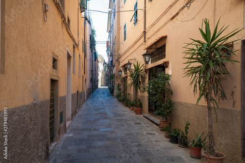 Narrow Italian street with cobble stone path and plants in flowerpots © Olga K