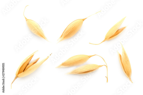 Oat seeds are isolated on white with a shadow. Oat seeds isolated on a white background. Set of oat grains isolated on white background. Top view of oat grains.