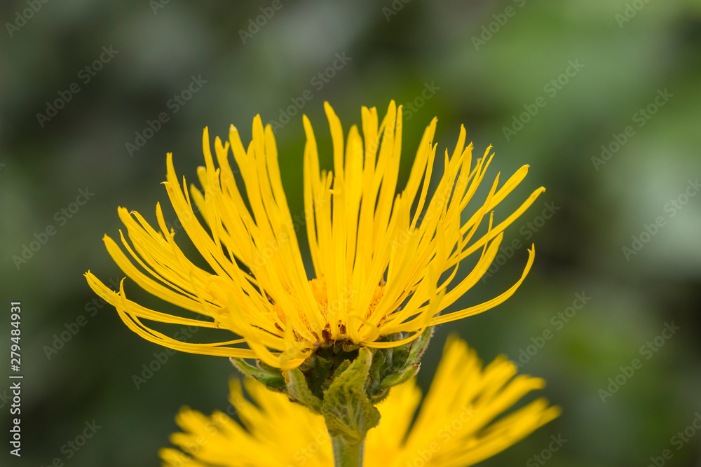 Outdoor nature sunset light Outdoor nature sunset light