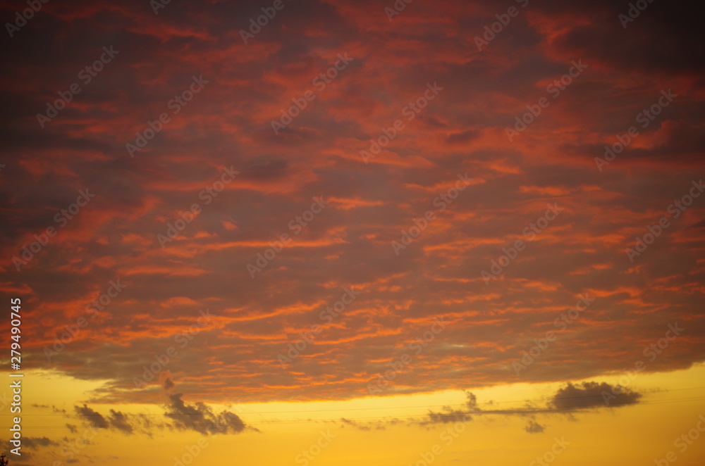 Fototapeta premium sunset in the sky