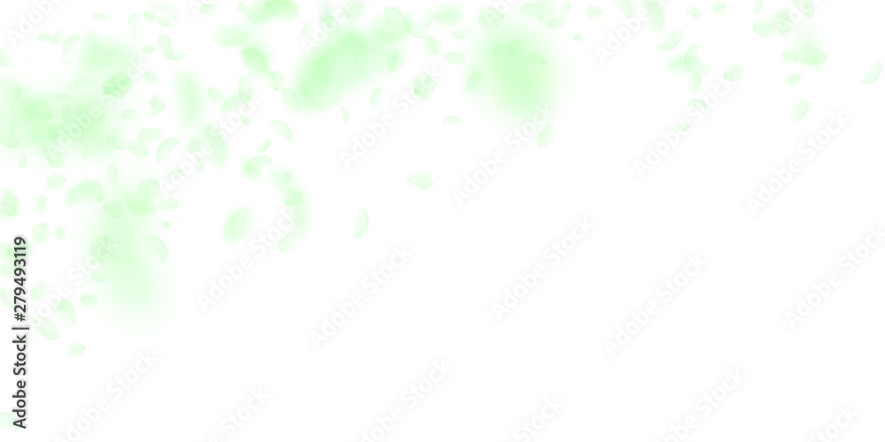Green flower petals falling down. Indelible romant Green flower petals falling down. Indelible romant
