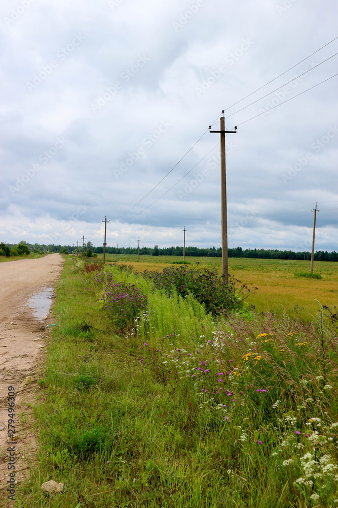 Rural landscape with dirt road field of rye and blue sky