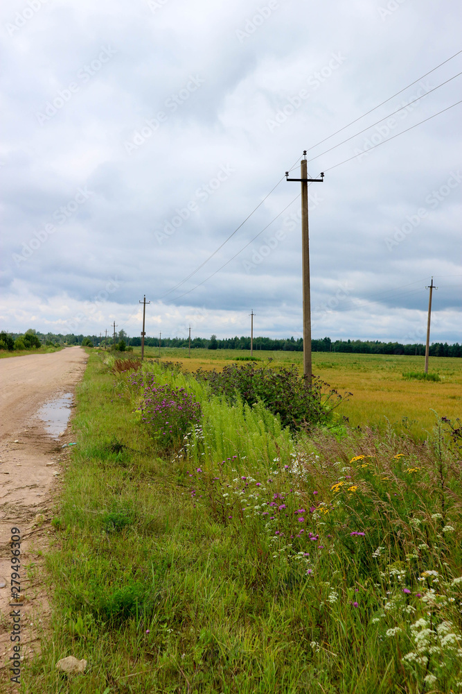 Rural landscape with dirt road field of rye and blue sky Rural landscape with dirt road field of rye and blue sky