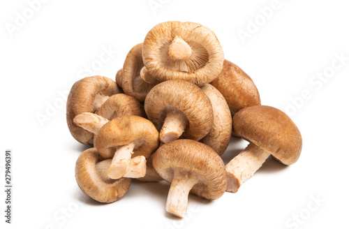 shiitake mushrooms isolated
