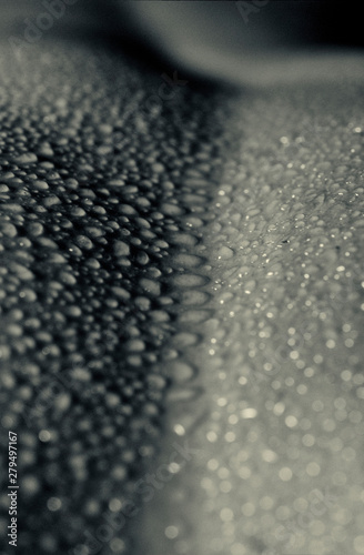 Wassertropfen auf der Oberfläche in schwarz / weiß