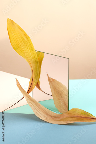 Abstract still life using a mirror and dry leaves.