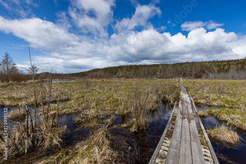 Lake in the Pukaskwa National Park in Canada photo