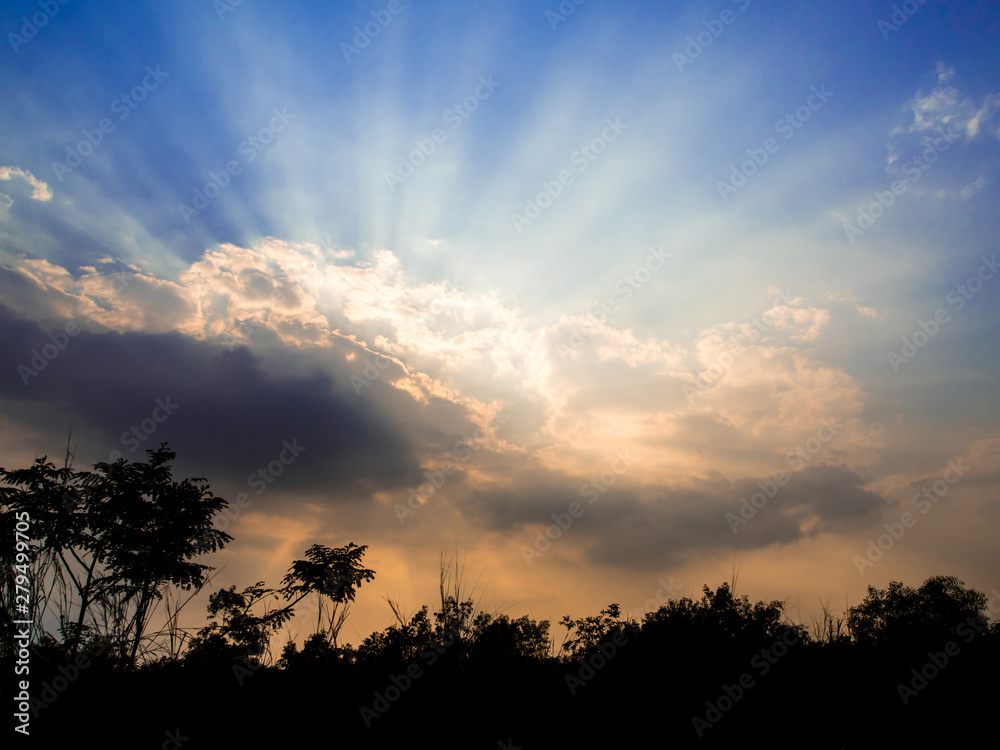 Fototapeta premium Silhouette trees and Beam of Sunlight behind dark clouds in the countryside