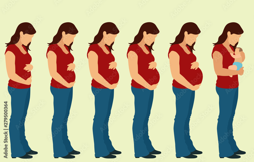 Obraz premium Pregnancy Stages and Infant