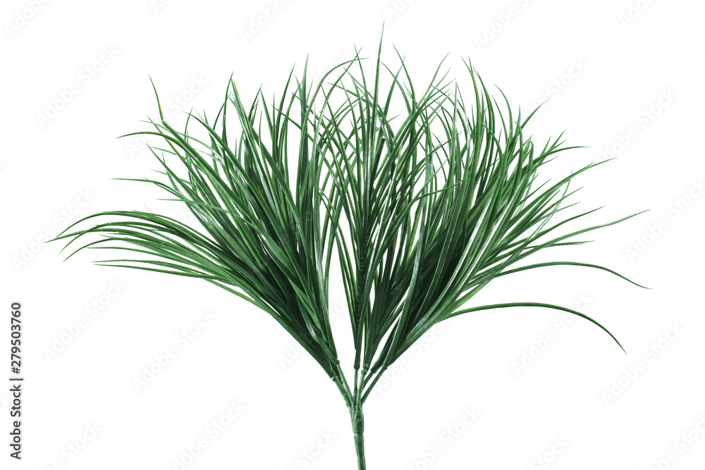 Fototapeta premium Artificial Shrub