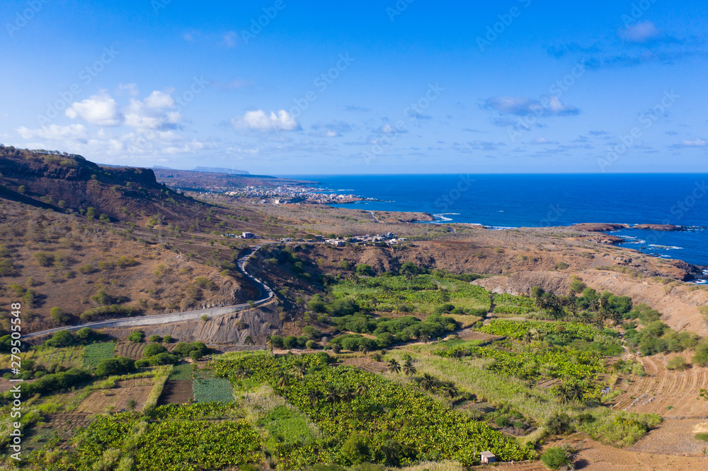  Coconut and sugar canne plantation near Calheta Sao Miguel in Santiago Island  in Cape Verde - Cabo Verde