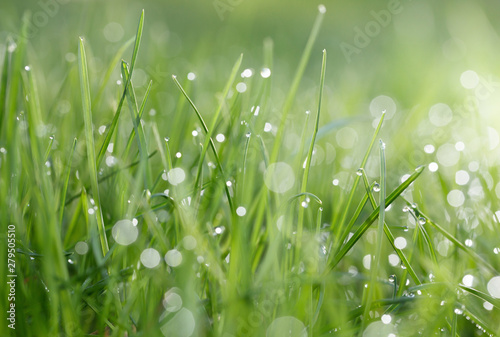 Green lawn macro