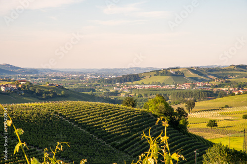 High angle view of the Langhe region in Piedmont with vineyard hills and the old town of Alba in the background, La Morra, Cuneo, Italy