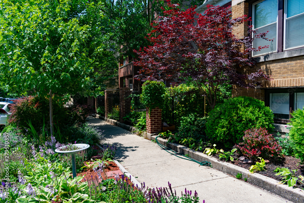 Beautiful Tree and Plant Lined Sidewalk with Residential Buildings in Rogers Park Chicago