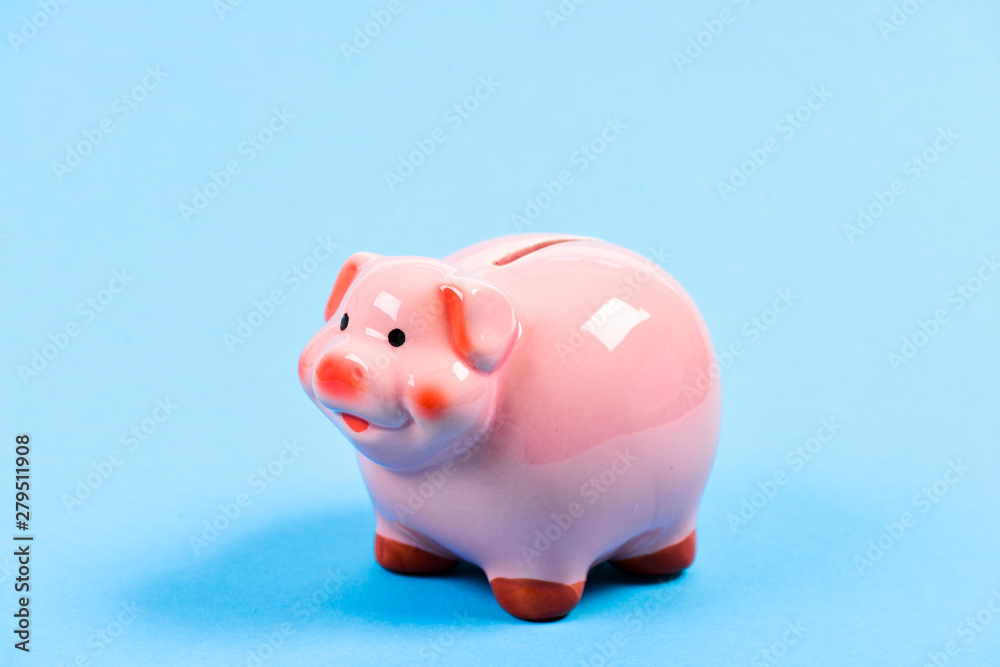 income management. financial problem. piggy bank on blue background. planning budget. money saving. Bank collector service. Piggy bank adorable pink pig. Lots of money income management. financial problem. piggy bank on blue background. planning budget. money saving. Bank collector service. Piggy bank adorable pink pig. Lots of money