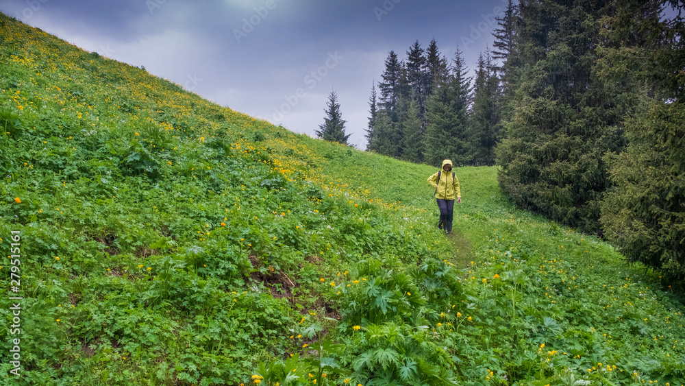 Φωτογραφία A woman walks in the mountains in spring in a yellow jacket at the edge of the f