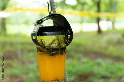 スズメバチの罠