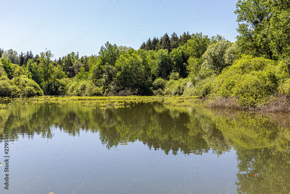 forest of Vaux, in Lorraine