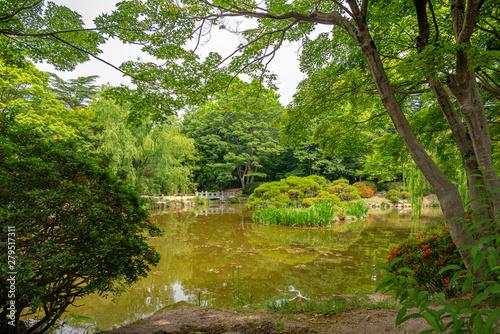 Japanese style garden and pond in South Korea © Dan Tiégo