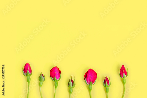 Red rose buds on yellow background. Background for holiday, birthday, Mother's Day, Valentine's day, Women's Day. Top view, flat lay composition. Copy space for text or design