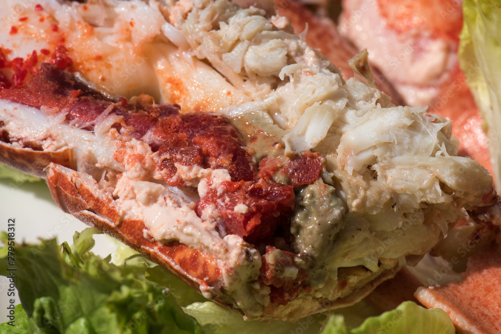 cuisine gros plan homard lobster cuisine gros plan homard lobster