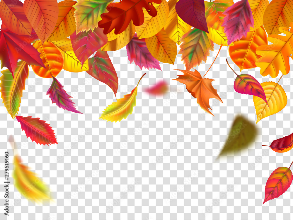 Autumn leaves fall. Falling blurred leaf, autumnal foliage fall and wind rises yellow leaves isolated vector illustration