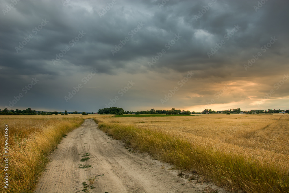 Sandy road through fields and dark rainy clouds in the sky