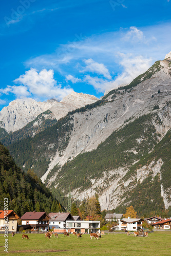 Alpine Village, Scenic in Europan Alps