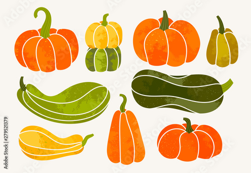 Autumn mood. Hand drawn vector set of various pumpkins. Colored trendy illustration. Flat design. Stamp texture. All elements are isolated
