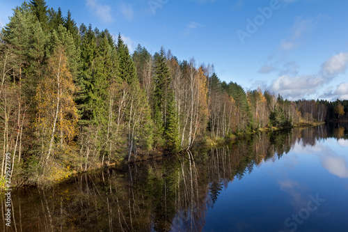 the forest is close to the river, autumn landscape