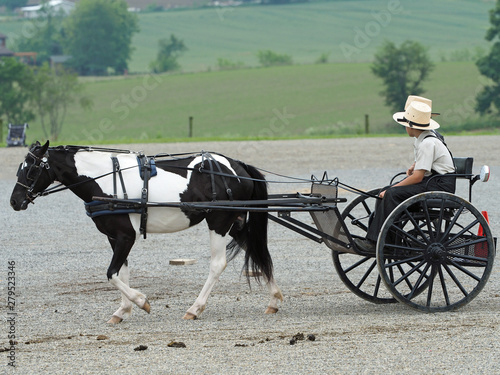 Amish Horse & Buggy - 107