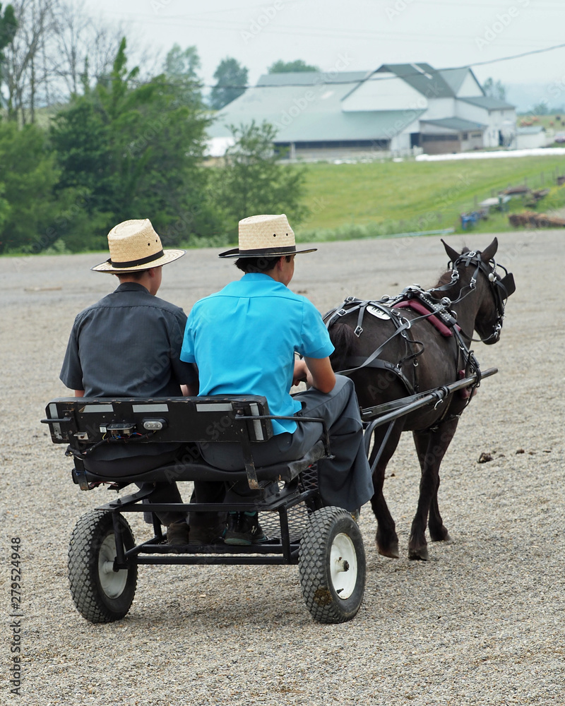 Amish Horse & Buggy - 35 Amish Horse & Buggy - 35