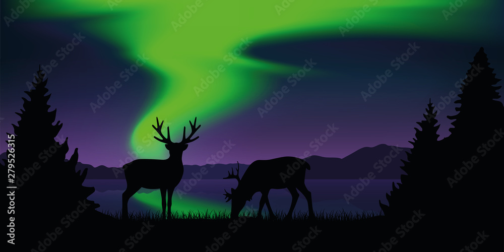 reindeer by the lake with beautiful green polar lights wildlife nature landscape vector illustration EPS10