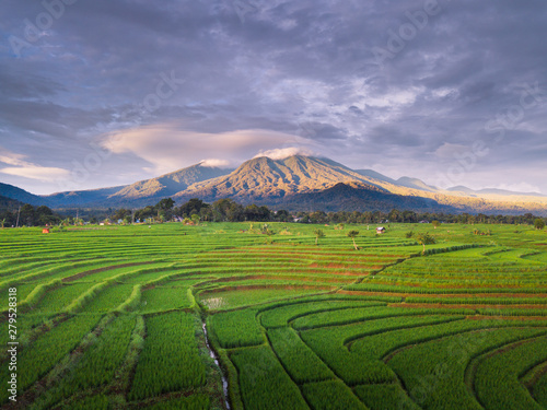 beauty light mountain range in indonesia at paddy fields