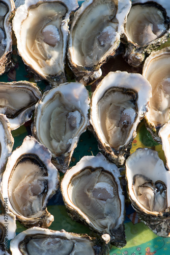 oyster huitres plateau cuisine photo