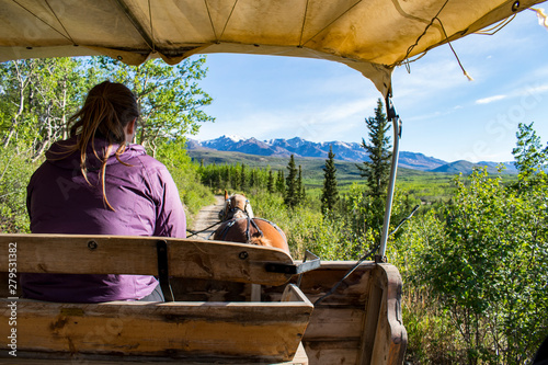 Fototapeta Covered wagon and female driver